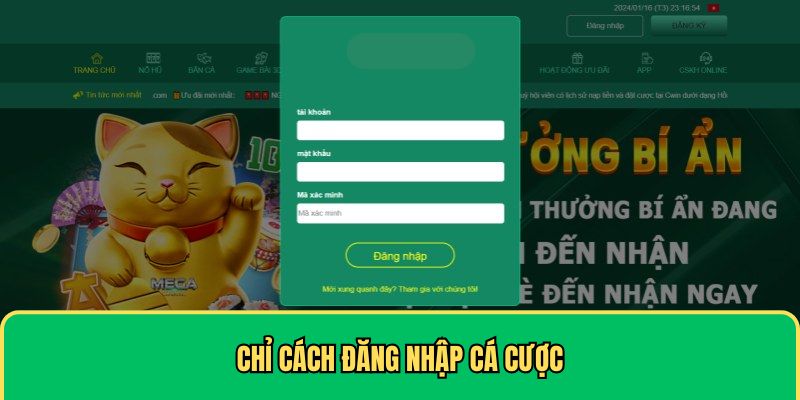 Chỉ cách đăng nhập cá cược